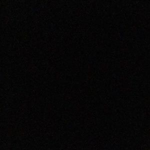 Meet your Posher, Daisy